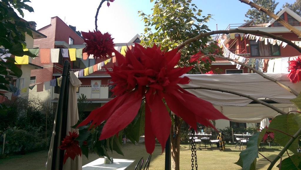 Rokpa Guest House Kathmandu Buitenkant foto
