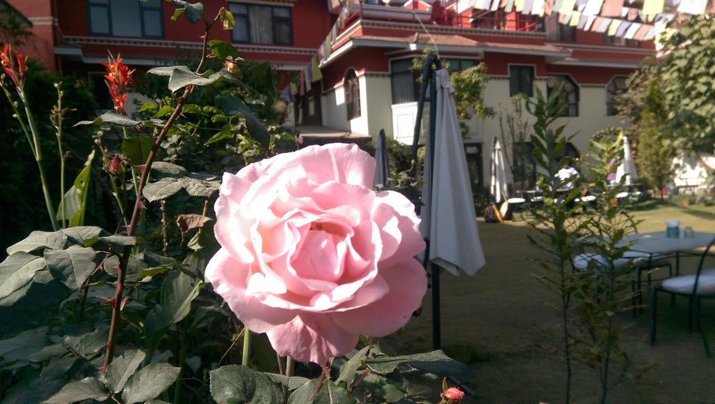 Rokpa Guest House Kathmandu Buitenkant foto